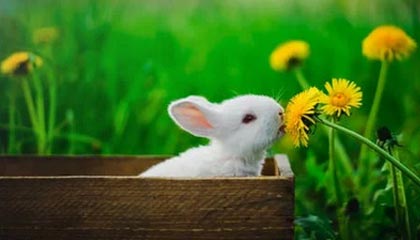 如何评价OKEX交易所？