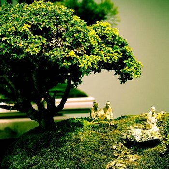 天富宝贵金属诈骗(香港天富宝贵金属有限公司)