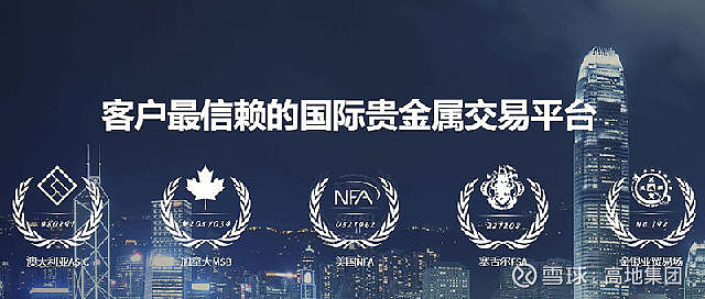 国际贵金属交易平台有哪些(国际贵金属交易平台有哪些平台)