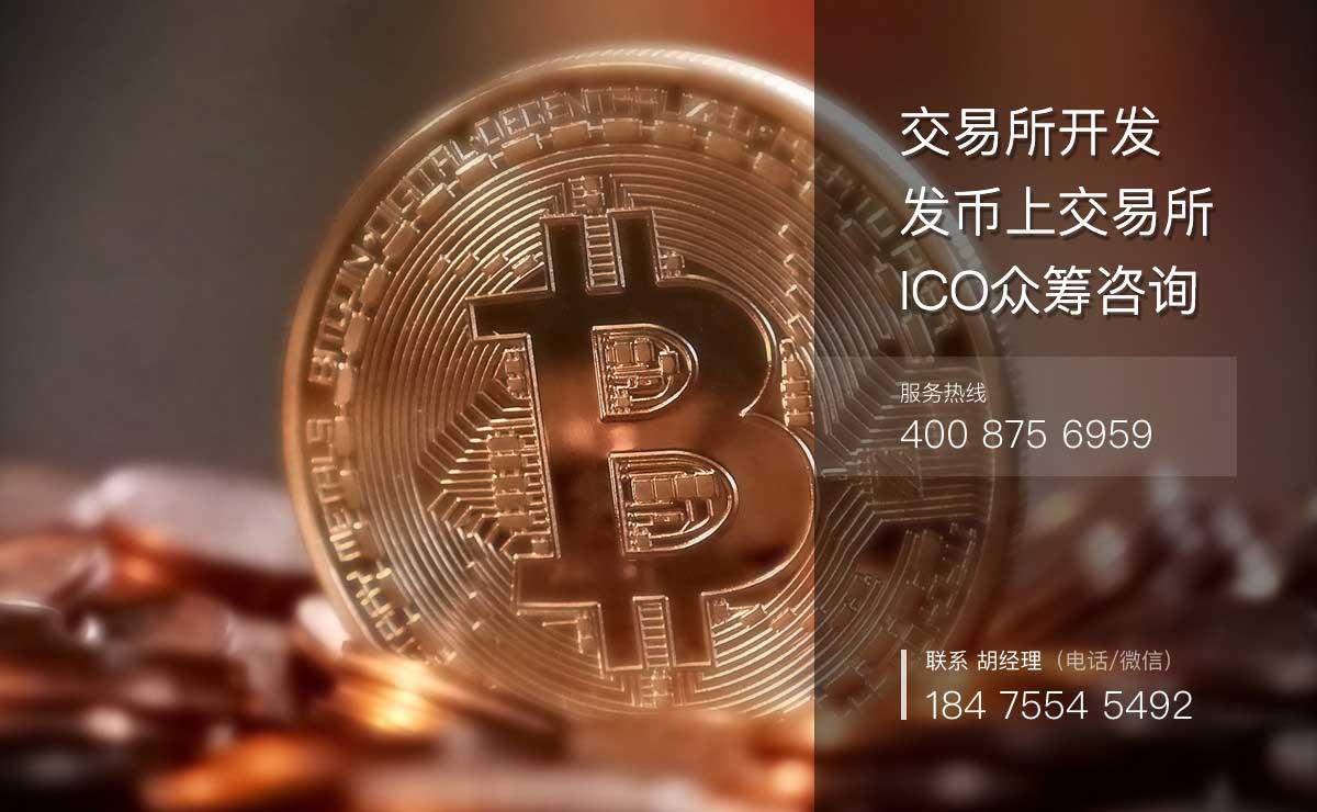 虚拟币开发(虚拟币开发需要多少钱)