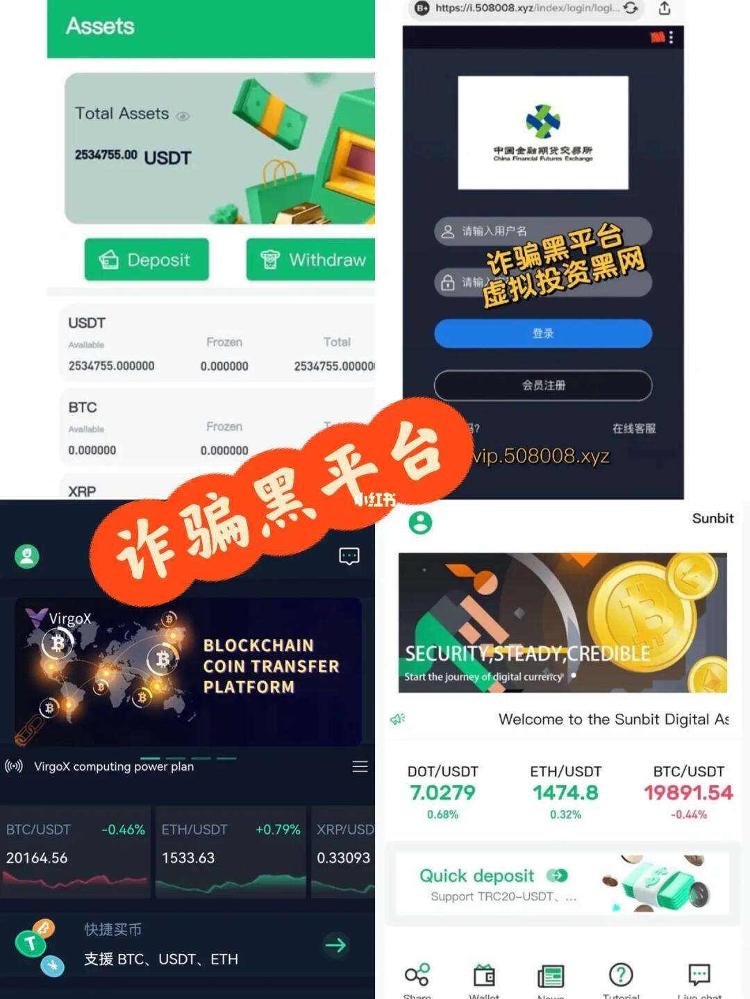 虚拟币诈骗(虚拟币诈骗案)