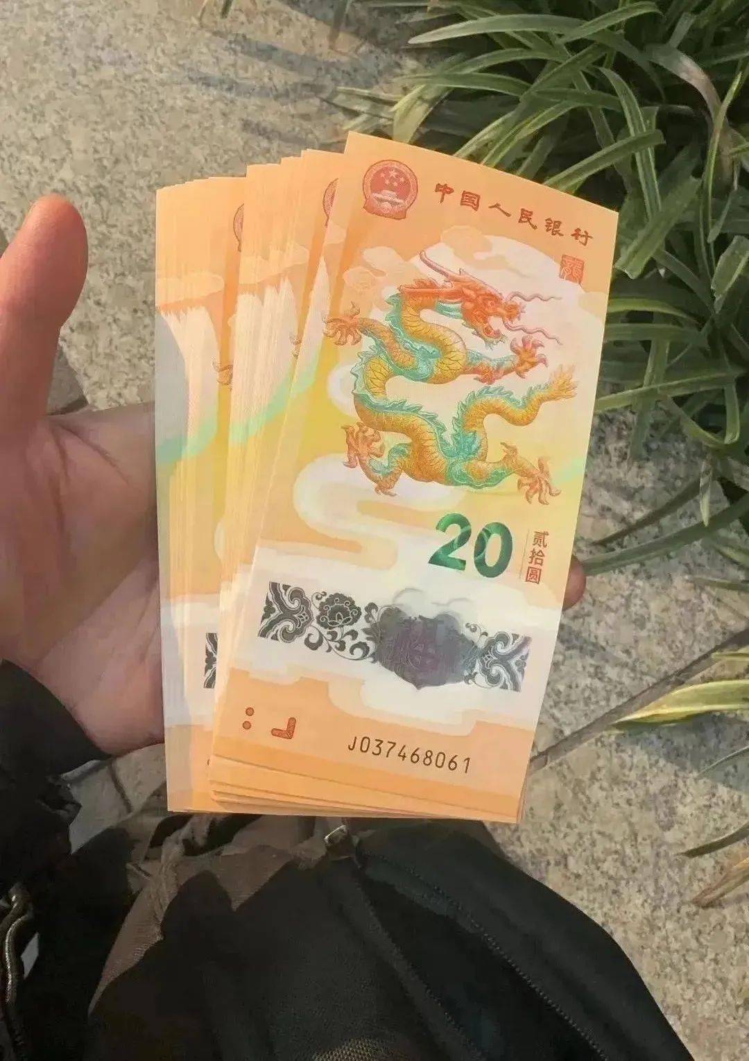 虚拟龙币(loon虚拟币)