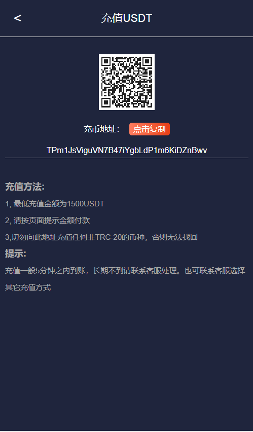 虚拟币系统(虚拟币enj)