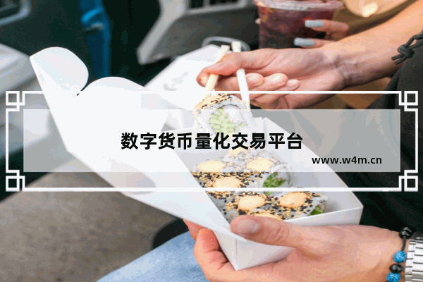 虚拟币量化(虚拟币量化交易软件哪个好)