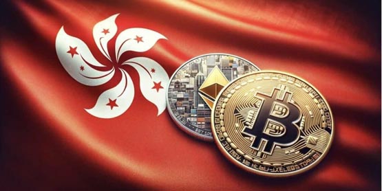 虚拟币牌照(虚拟币cgpay)
