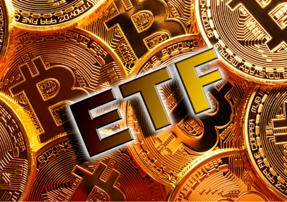 金融虚拟币(金融虚拟币公司上班)