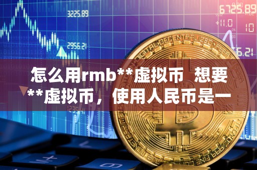 人民币虚拟(人民币虚拟币)