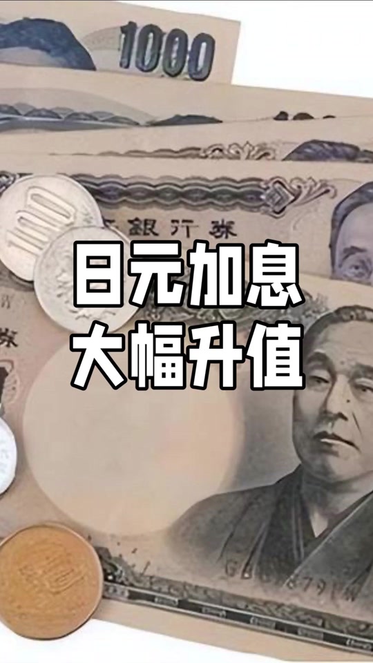 日本虚拟币(日本虚拟币名称)