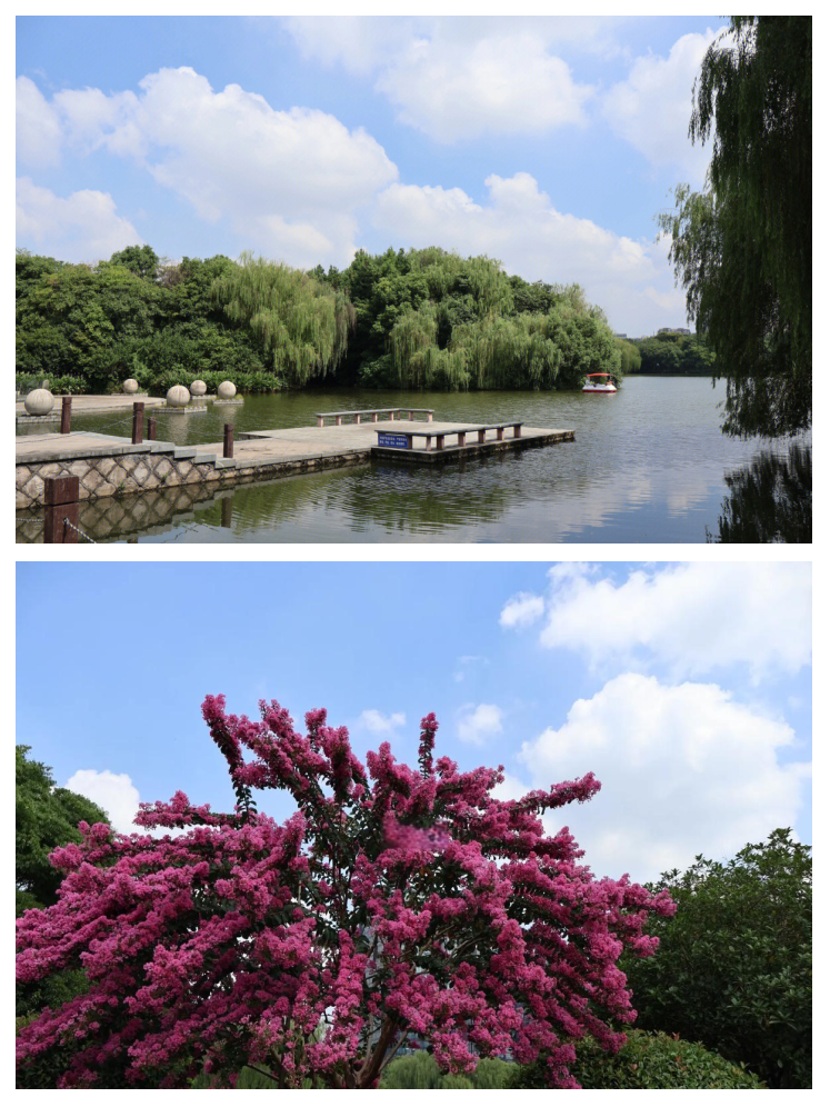 城北体育公园(杭州城北体育公园)