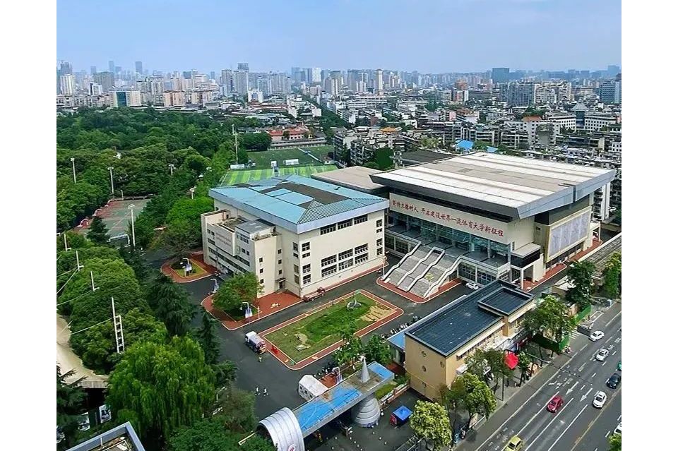 成都体育馆(成都体育馆发现古墓)