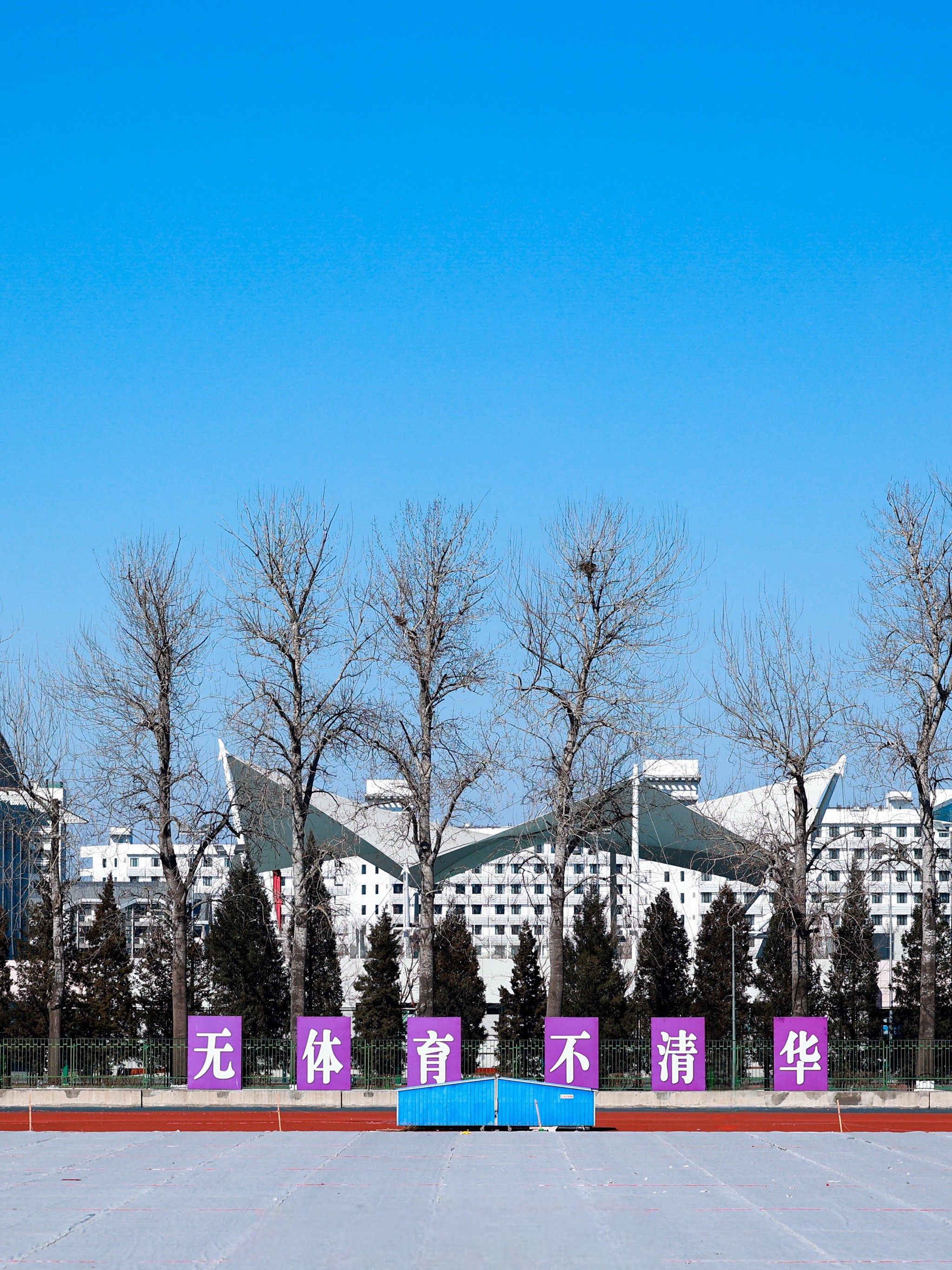 清华大学体育部(清华大学体育部马新东)