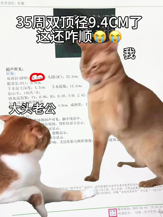 我的两个体育生老公(我的两个体育生老公全文阅读笔趣阁)