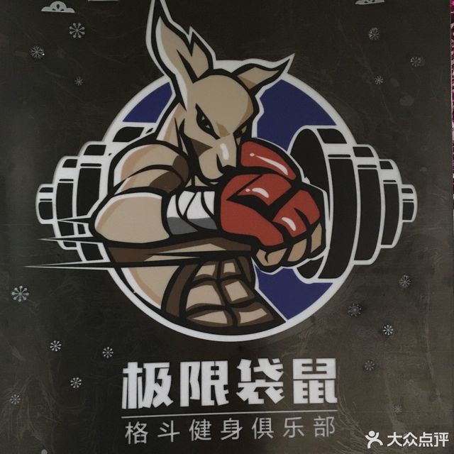 袋鼠体育(袋鼠体育官方旗舰直进G26网址怎么找cc)