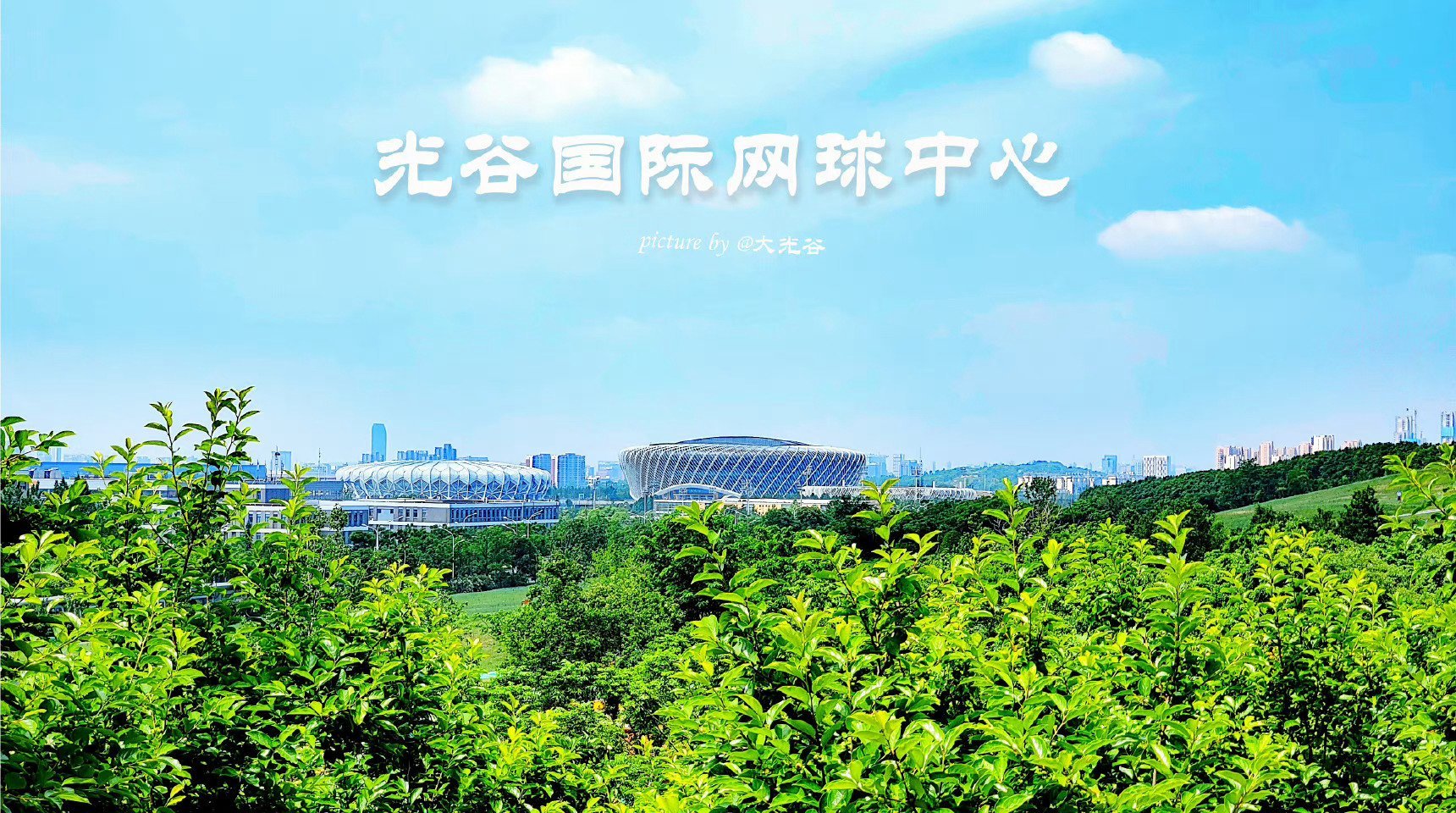 武汉市体育局(武汉市体育局官网)