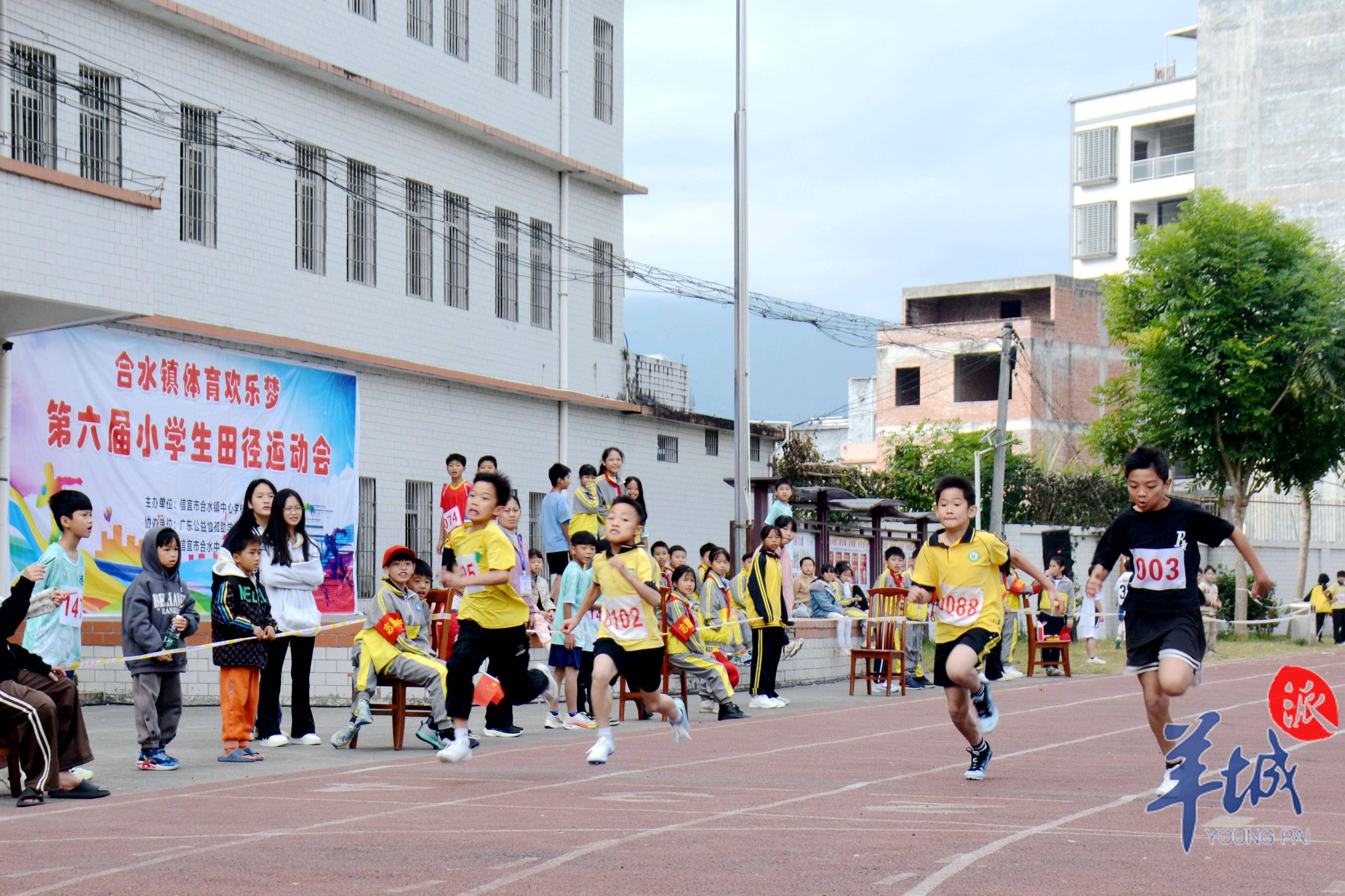 小学生100个体育项目(小学生100个体育项目都的什么)