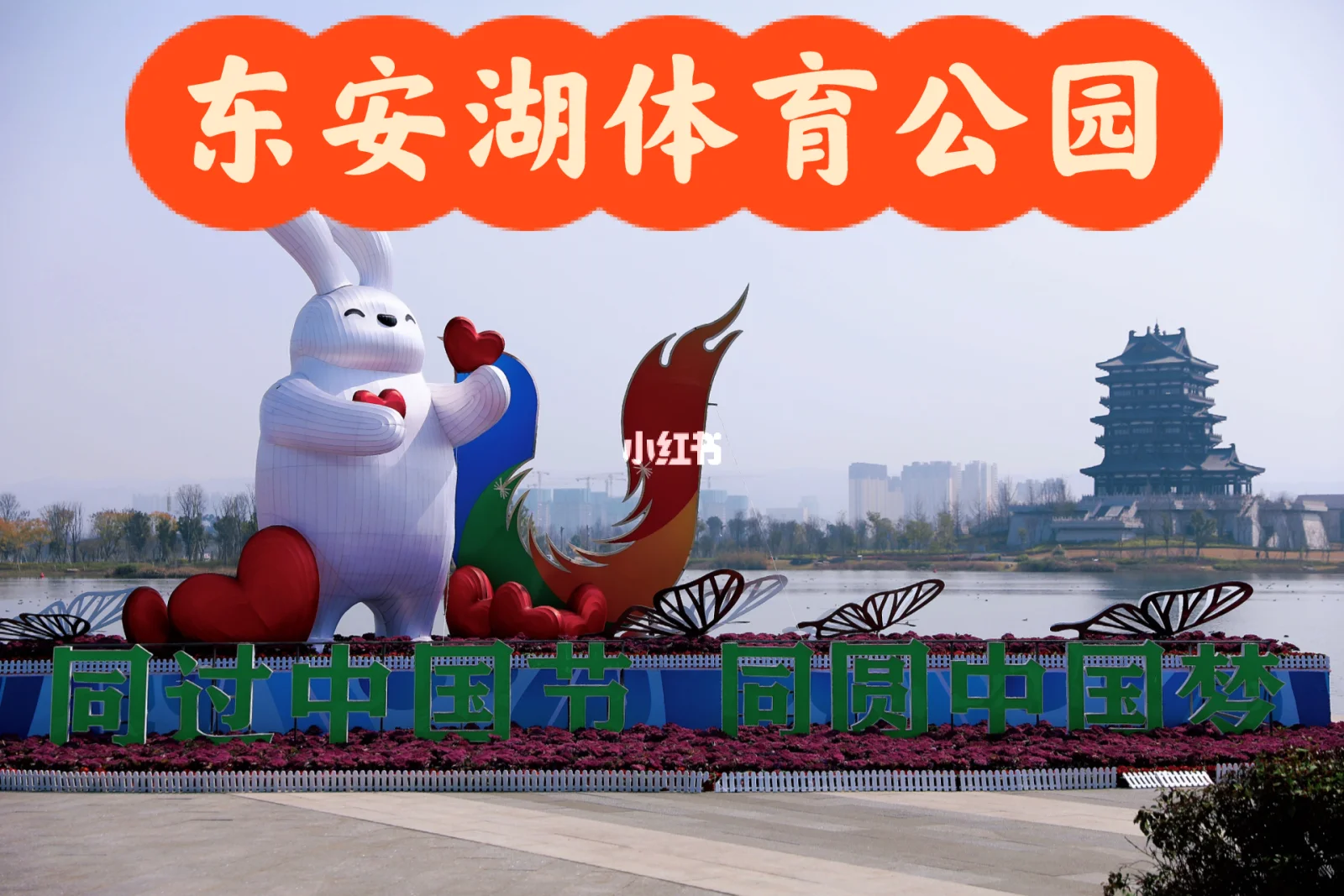 东安湖体育公园(东安湖体育公园主体育场座位图)