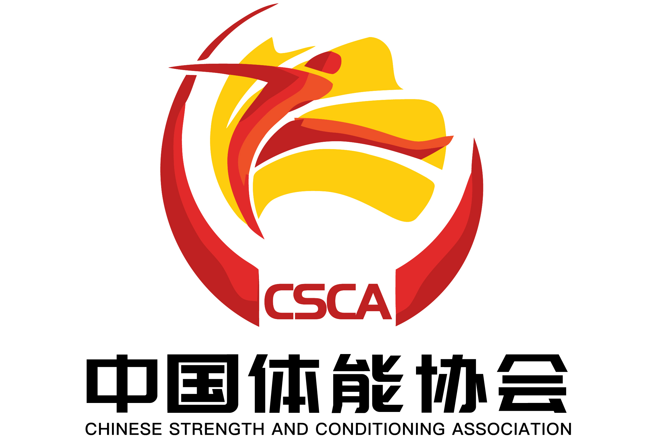 中国体育科技(中国体育科技版面费)