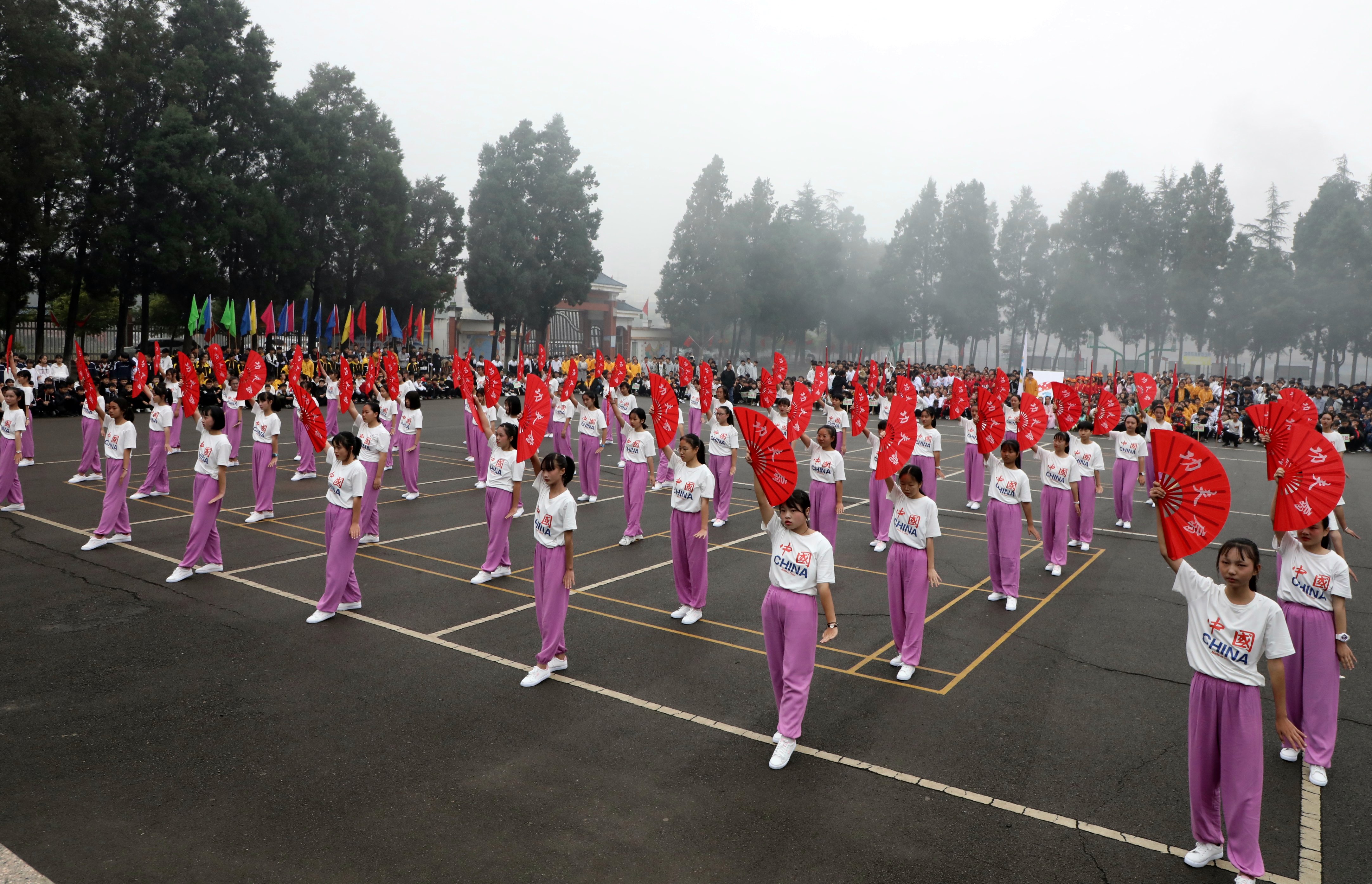 艺术体育(艺术体育学院)