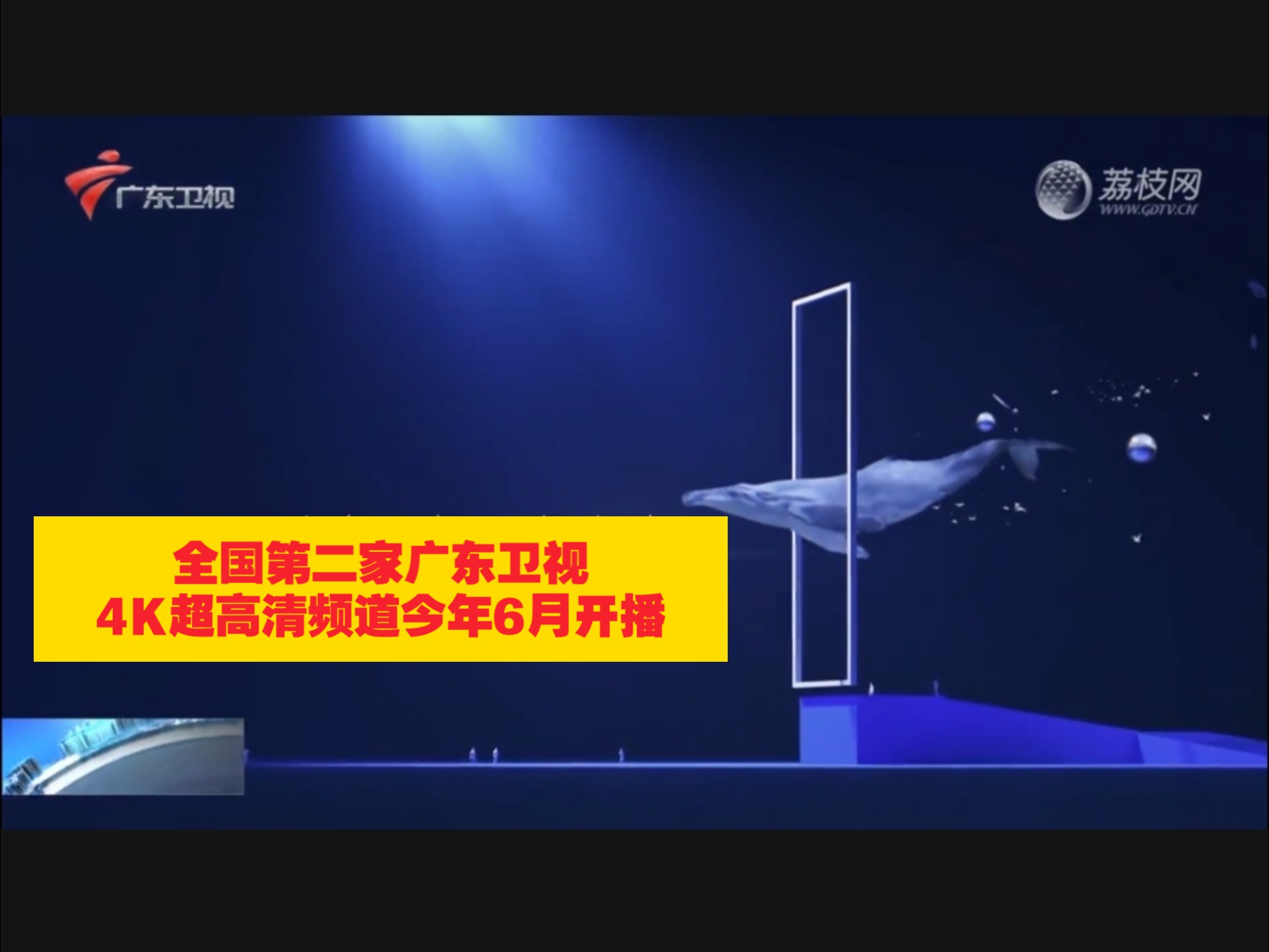 广东体育频道在线观看(广东体育频道在线观看直播高清)