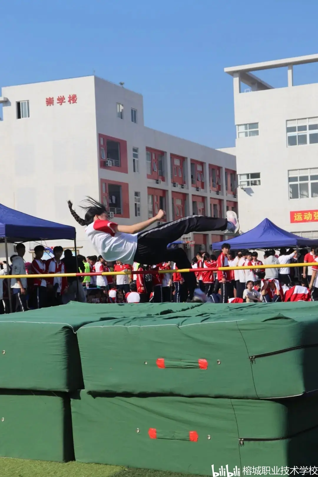 艺术体育(艺术体育是学什么的)