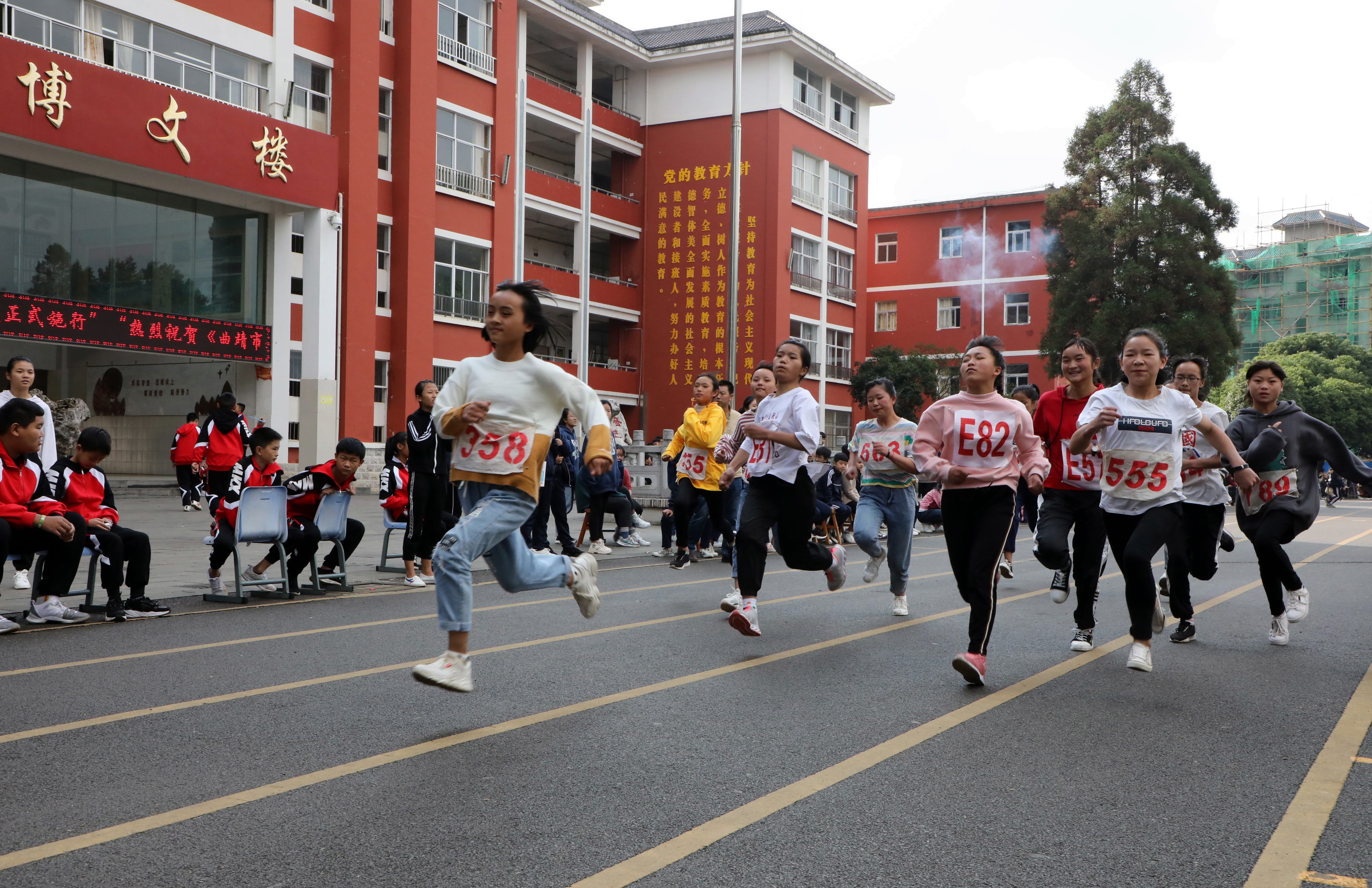 艺术体育(艺术体育有哪些)