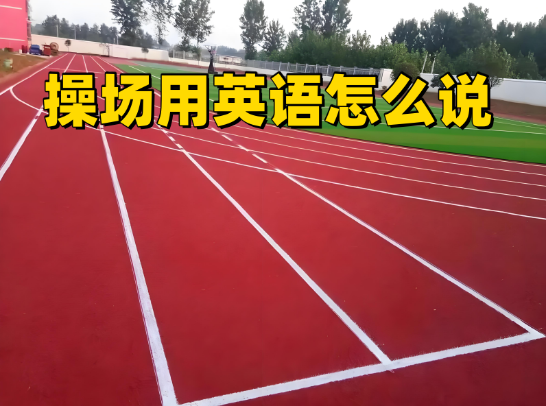 体育课用英语怎么说(我们在那天有音乐课和体育课用英语怎么说)